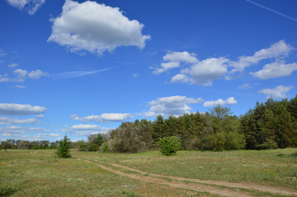 Мои дороги. - Виктор 