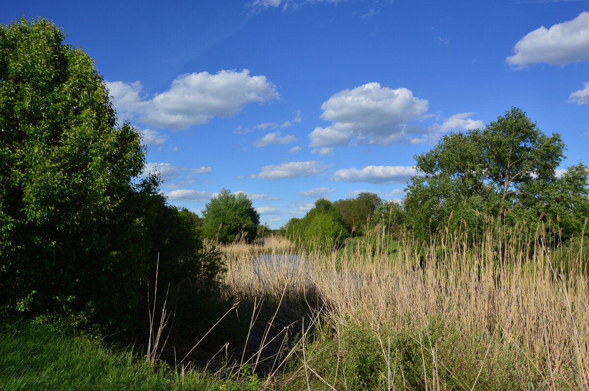 Весна. - Виктор 