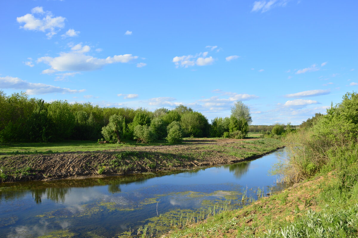 Местная река. - Виктор 