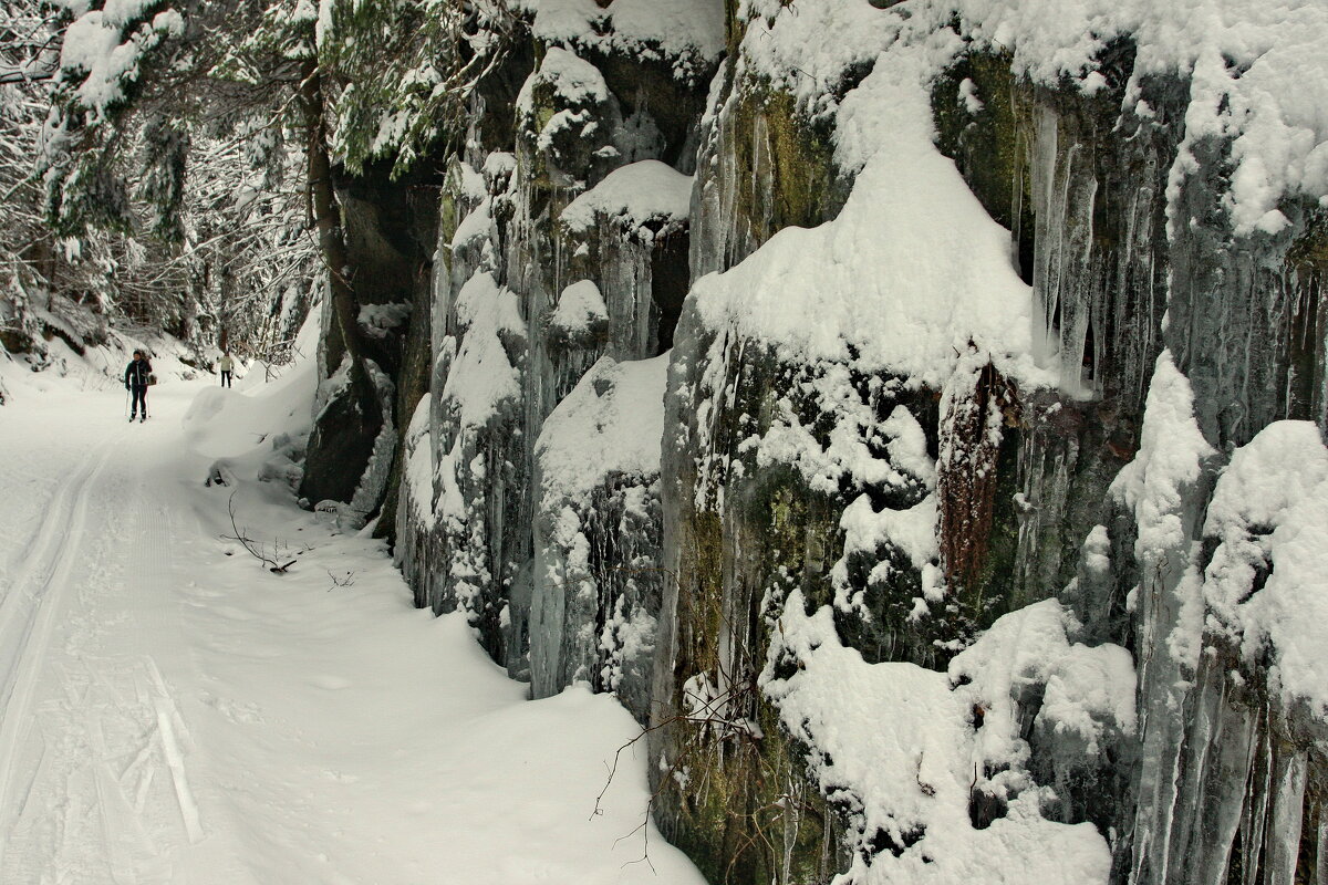 "Лыжня ныряет в хвойный лес" - Ирэн "Лыжня ныряет в хвойный лес" - Ирэн
