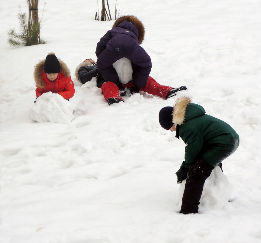 ваятели снежных комов - sv.kaschuk 
