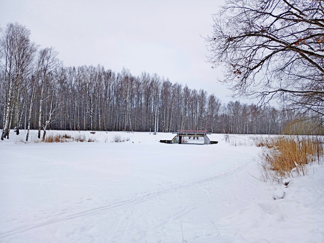 Прощай зима! - Лия ☼