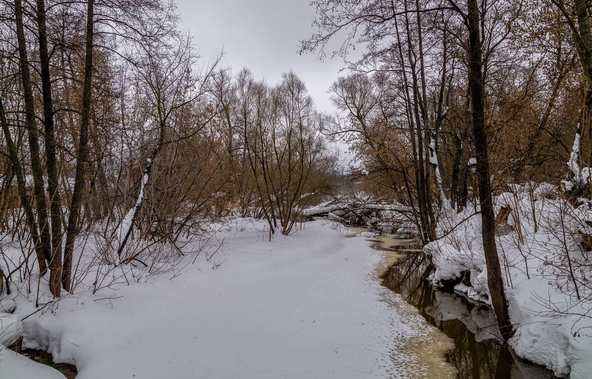 Первый день весны - Андрей Дворников