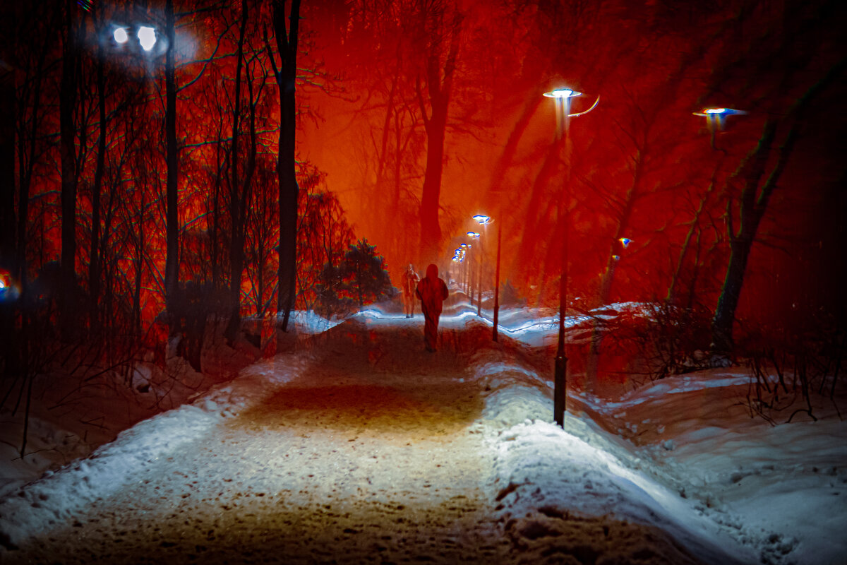 Странный парк - Илья Шенгелия