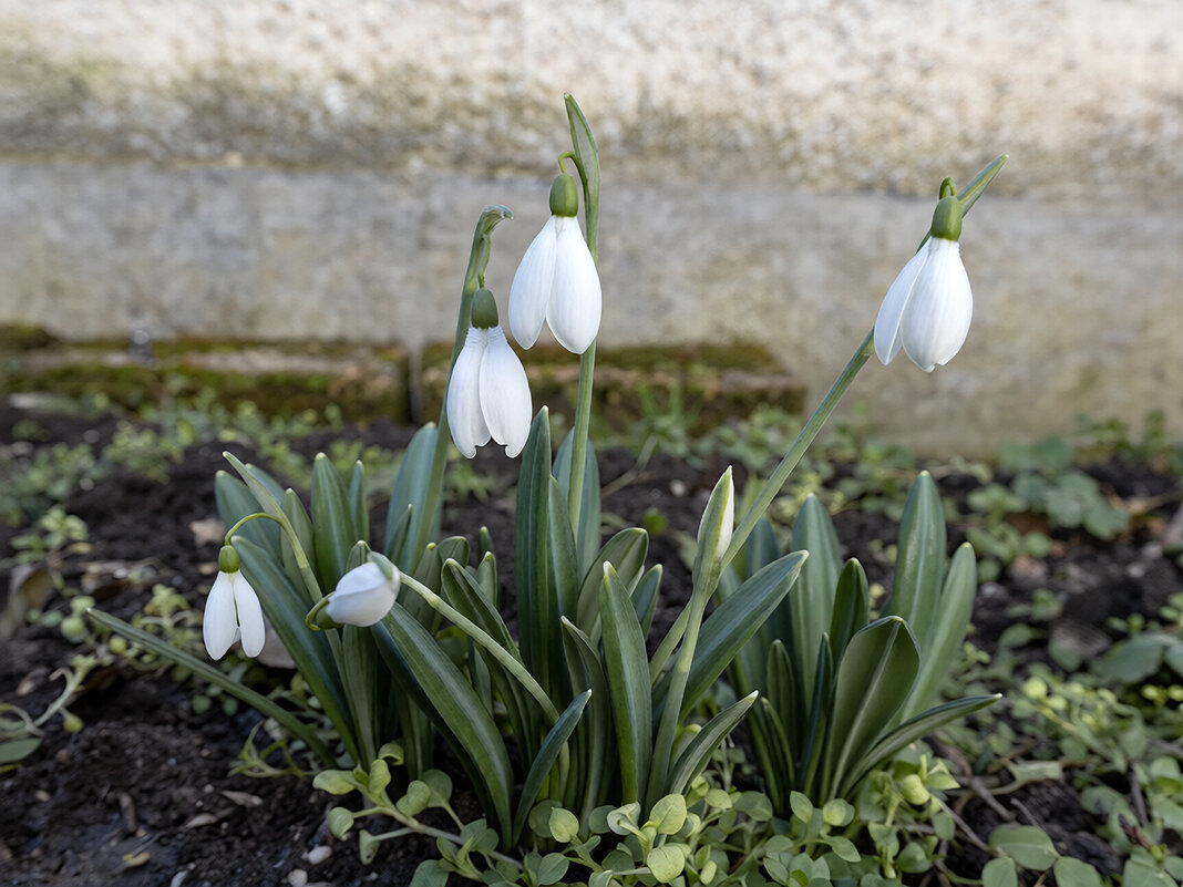Весна на дворе. Пора влюбляться... - Валерий Басыров