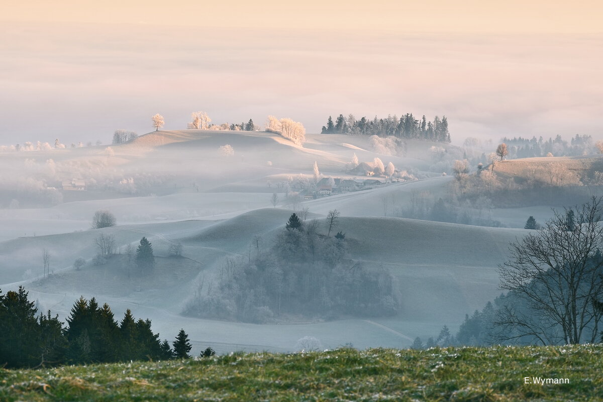 misty morning - Elena Wymann misty morning - Elena Wymann