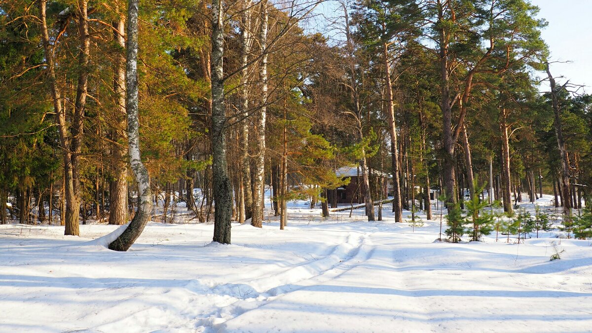 Первый день весны на Смоленщине. - Милешкин Владимир Алексеевич 