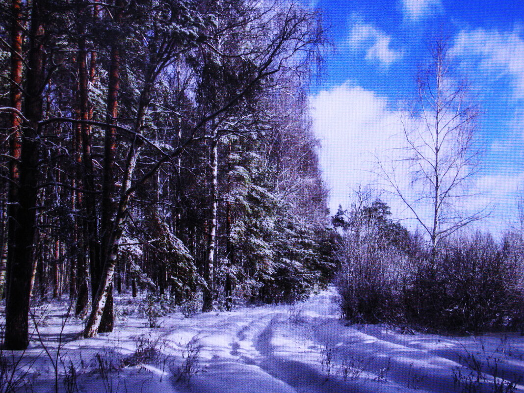 В конце февраля - Людмила Смородинская