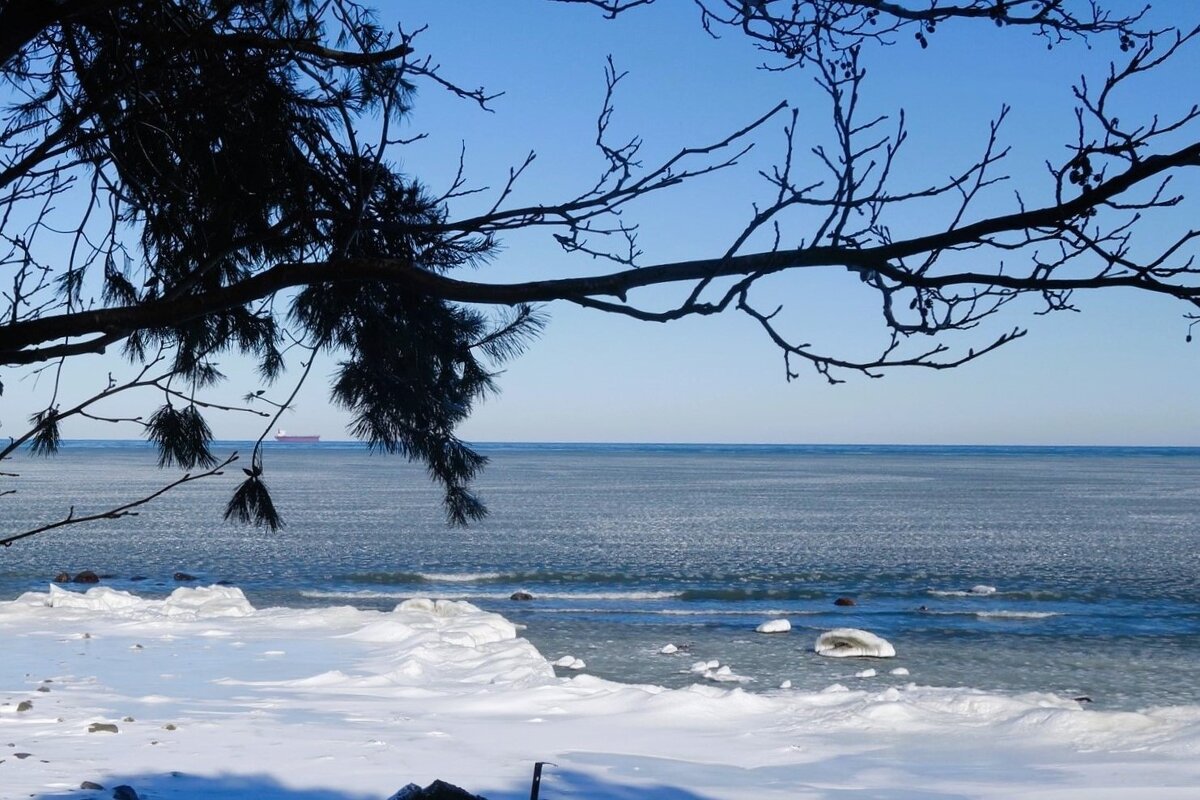 Февраль, лесопарк, Светлогорск, Калининградская область - Рита Симонова Февраль, лесопарк, Светлогорск, Калининградская область - Рита Симонова