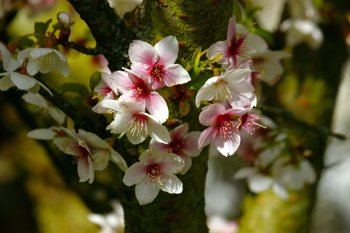 Доброе утро - Юрий. Шмаков