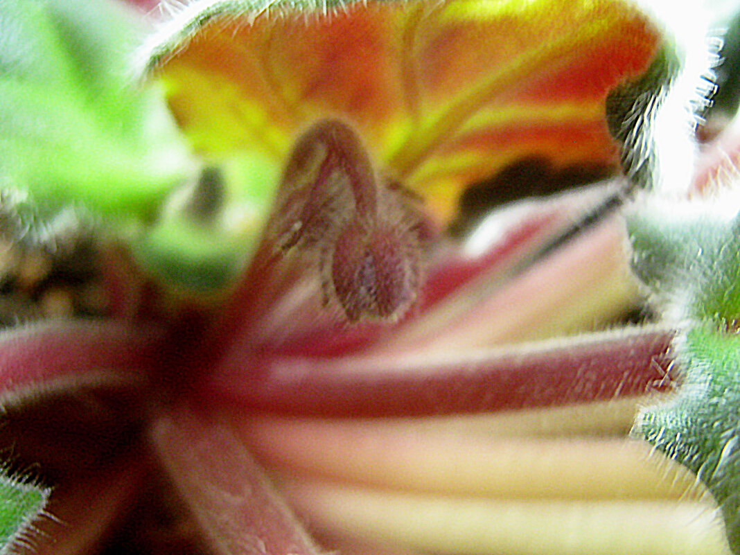 Пробуждение - Елена Семигина Пробуждение - Елена Семигина