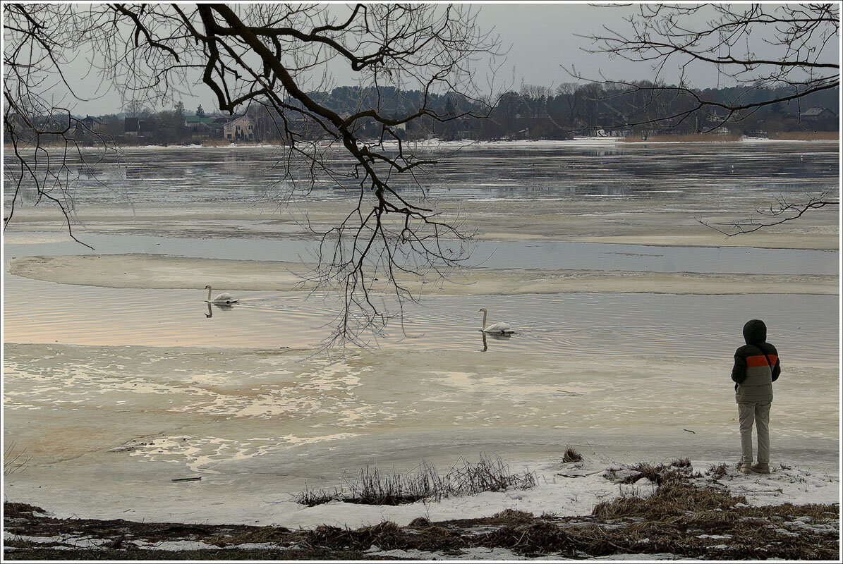Перезимовали - Aleksandr Gal Перезимовали - Aleksandr Gal