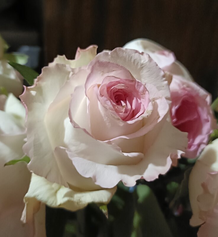 rose - Галина R...