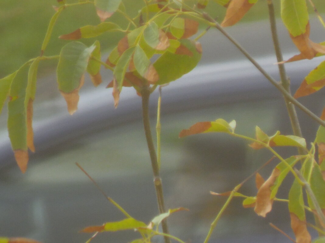 13  ОПЕН (920) - OPEN WAYS ALL