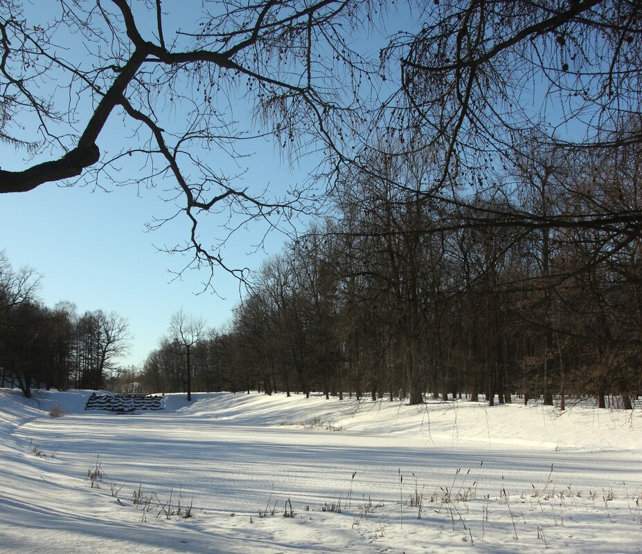 Царское Село. Екатерининский парк - Наталья Герасимова