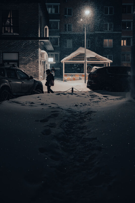 одиночество - Serega Alucard X2