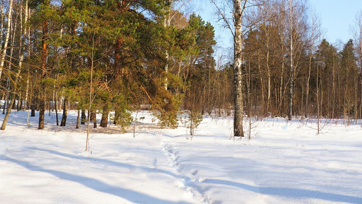 Был первый день весны. - Милешкин Владимир Алексеевич 