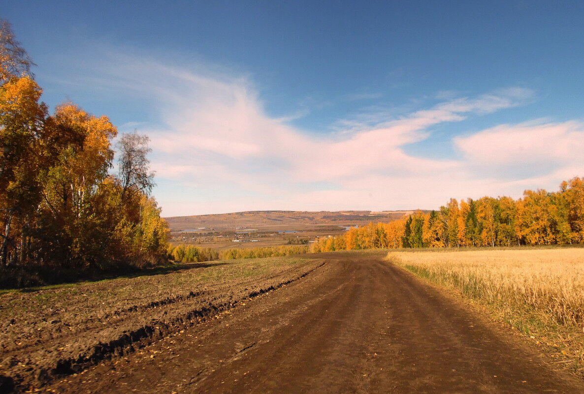 Дорога через осень. - nadyasilyuk Вознюк
