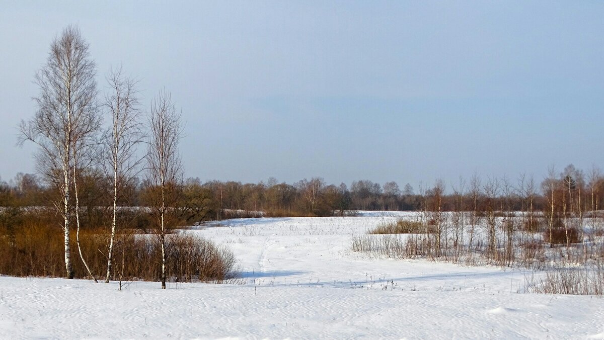 Весна на Смоленщине. - Милешкин Владимир Алексеевич Весна на Смоленщине. - Милешкин Владимир Алексеевич