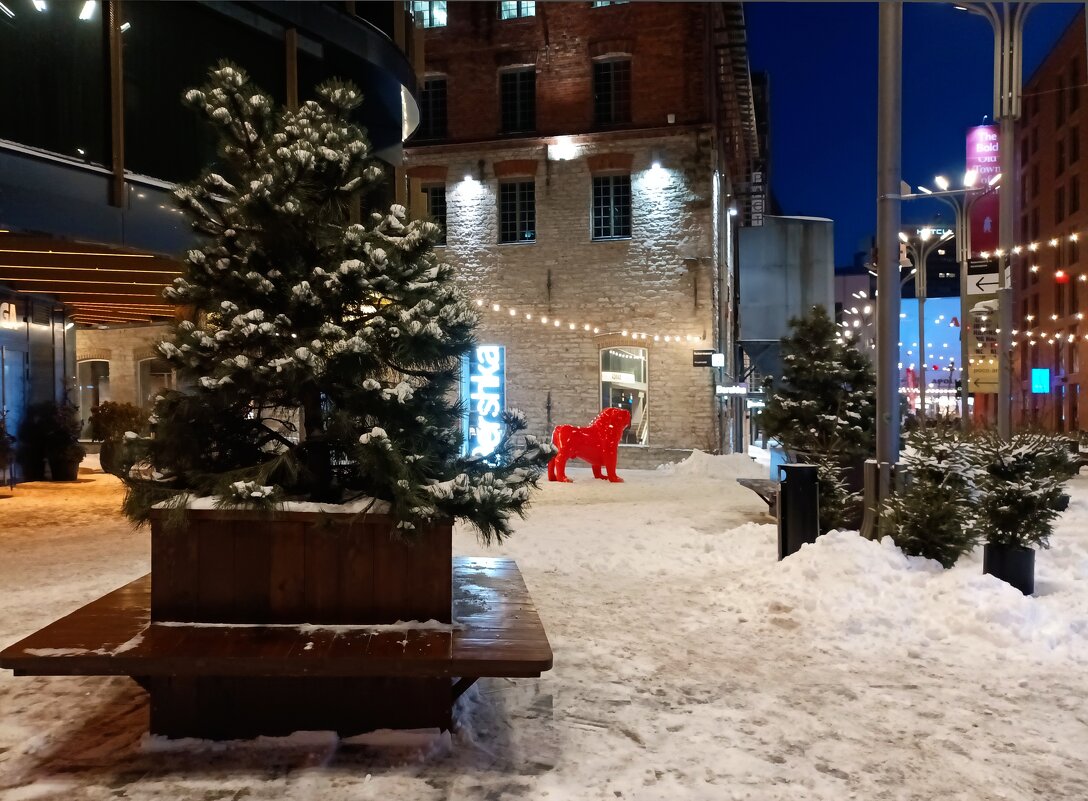 Вечерняя прогулка - Veera V