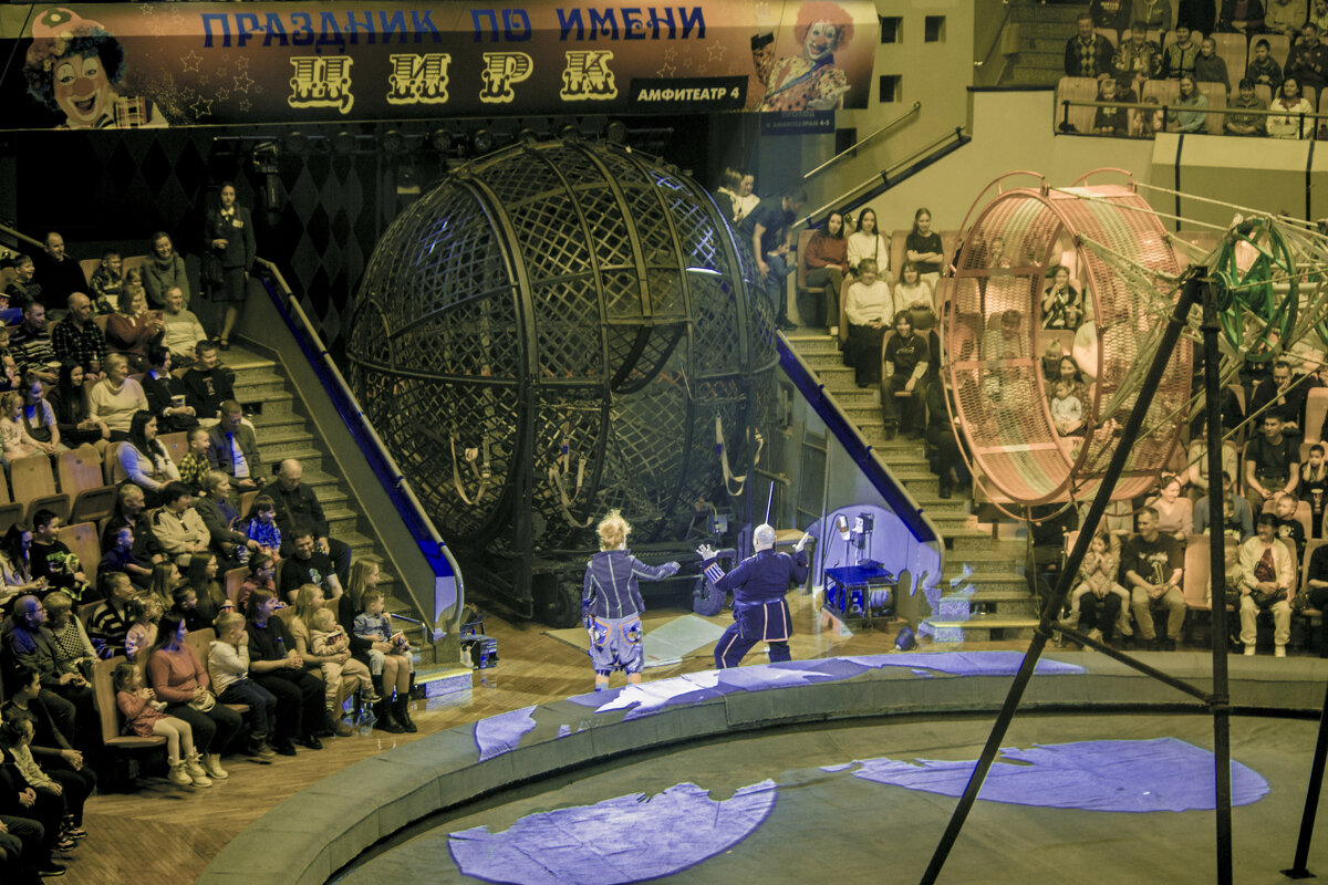 Мой город ЦИРК - Владимир Максимов