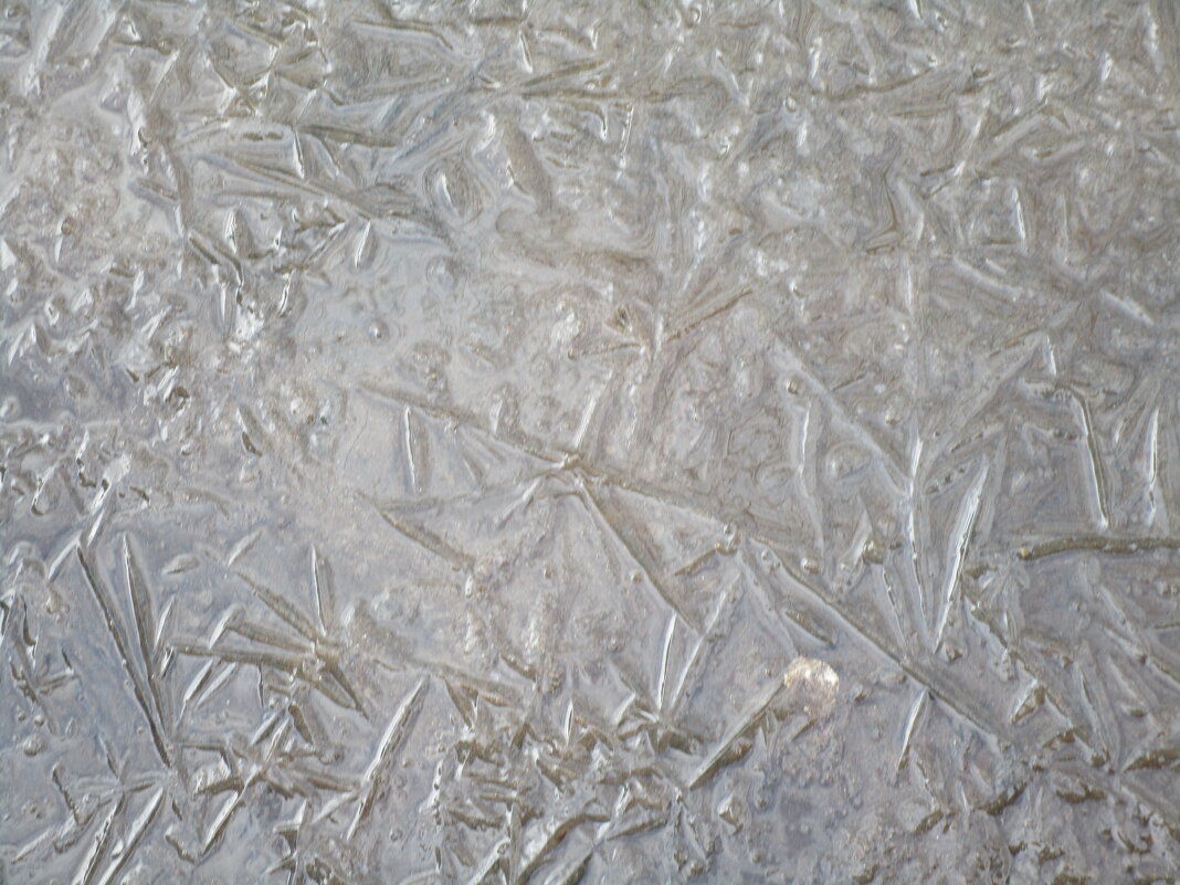 мятая лужа - Елена Шаламова