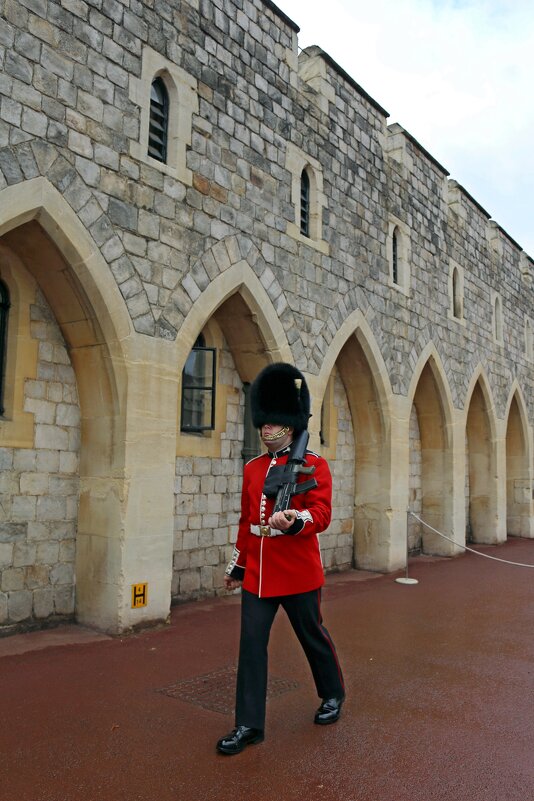 Гвардейцы Виндзорского замка - Ольга 