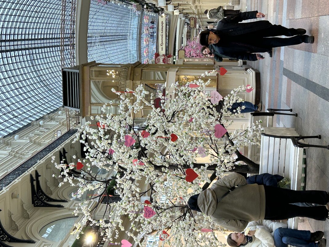 В ГУМе - Натали В ГУМе - Натали