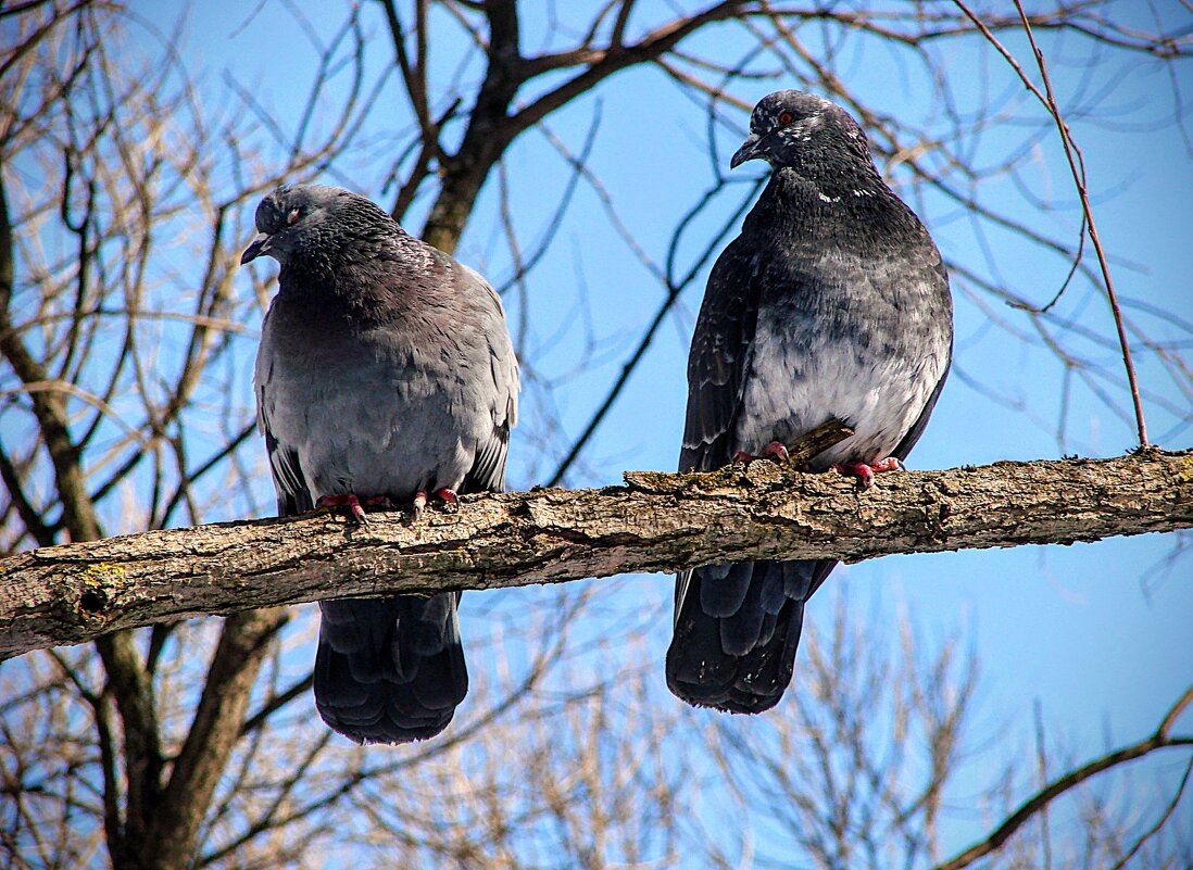Какая тишина,,, - Анатолий Колосов