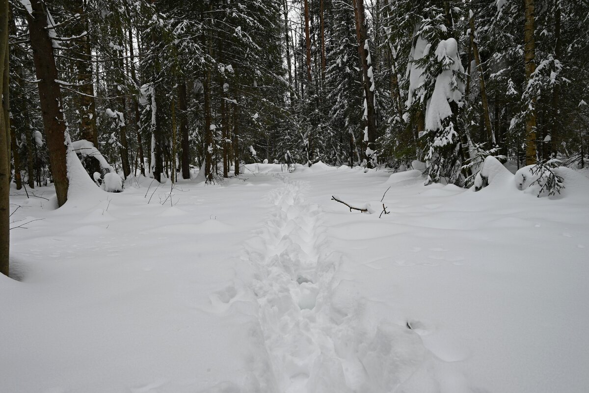 Полный непроход. - ВикТор Быстров