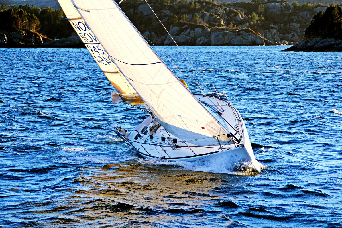 Регата во фьордах - В.И 