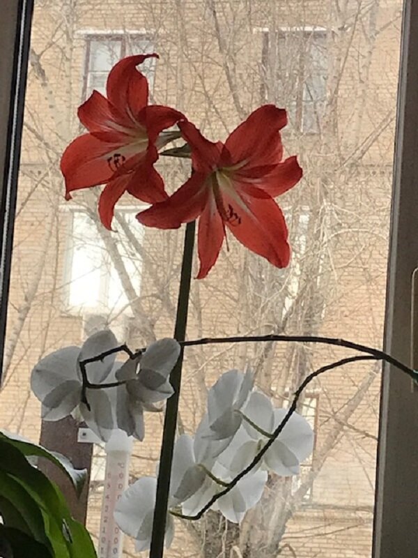 Здравствуй, Март! - Татьяна Юрасова