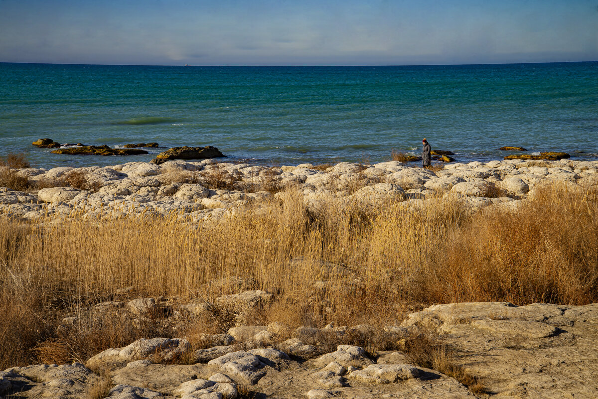 Берег - Анатолий Чикчирный Берег - Анатолий Чикчирный