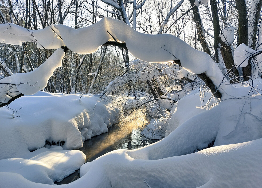 На реке Братовка снежная зима - Денис Масленников На реке Братовка снежная зима - Денис Масленников