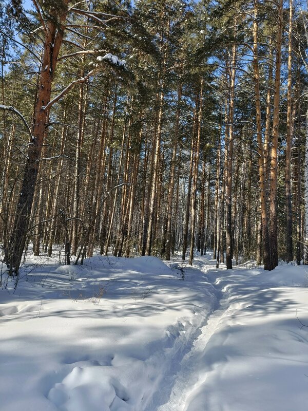 ЗИМА НЕ УХОДИТ - ura Зелев