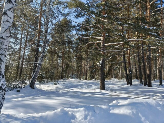 ЗИМА НЕ УХОДИТ4 - ura Зелев