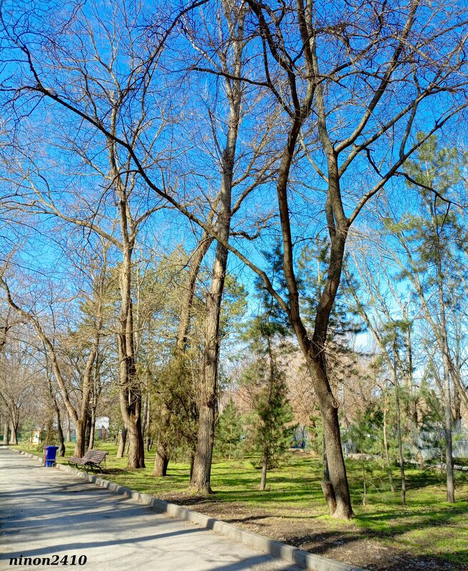 Март в ростовском зоопарке - Нина Бутко