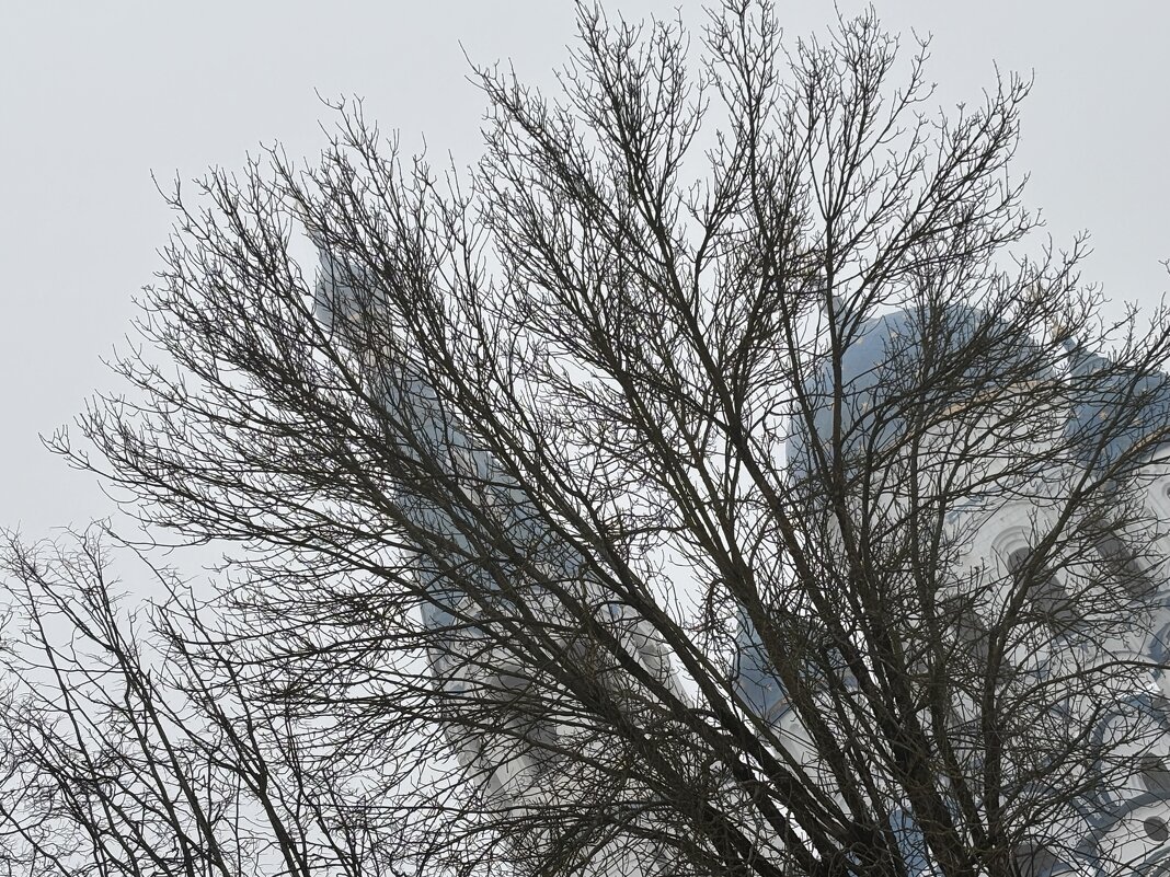 Храм - Ольга Савельева 