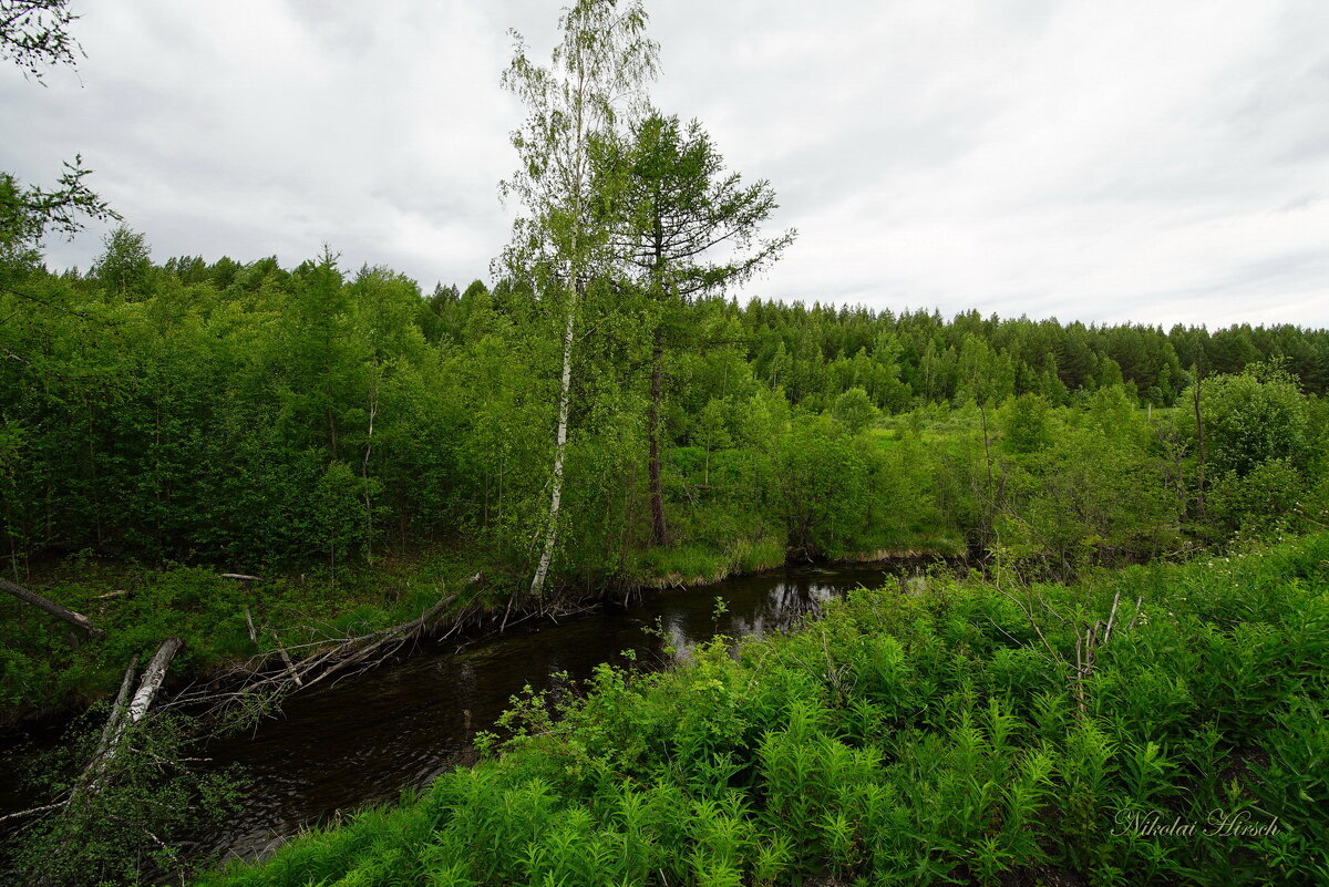 Уральские мотивы... - Николай Гирш Уральские мотивы... - Николай Гирш