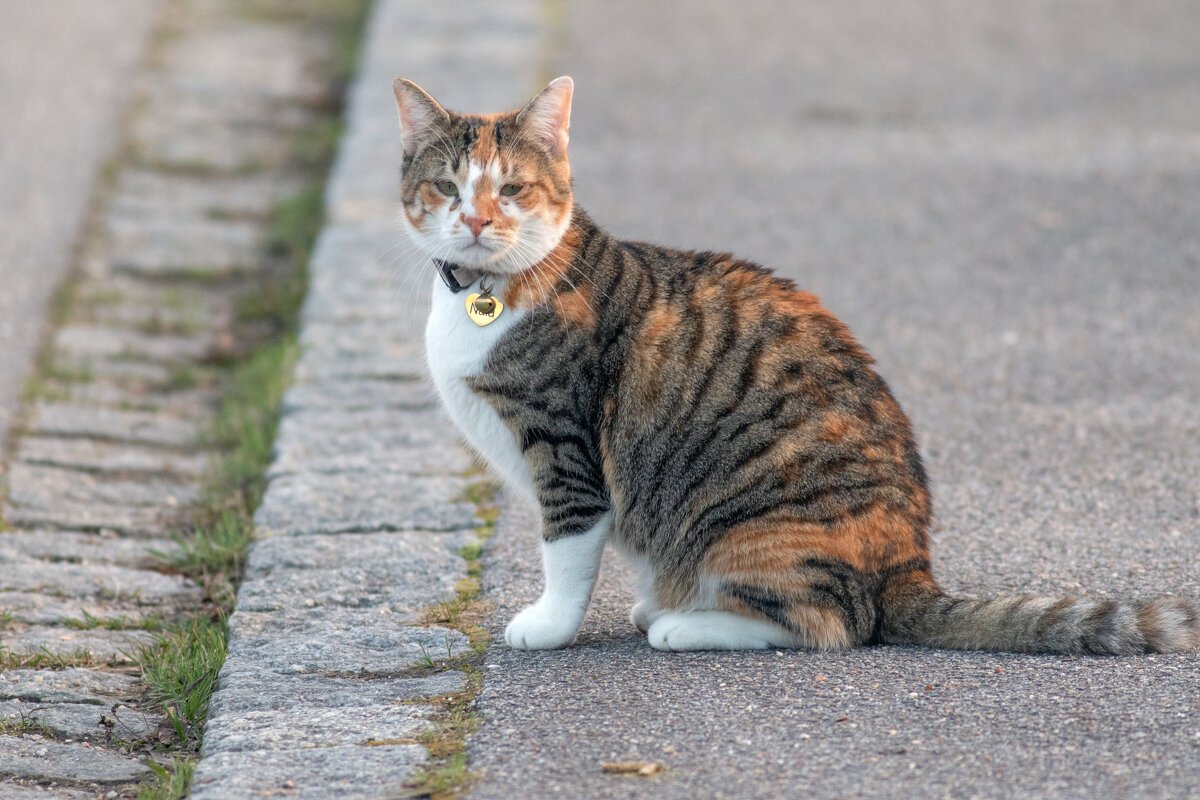 --- - vladimir --- - vladimir