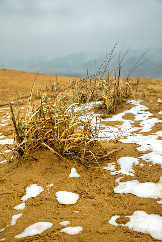 Снег в пустыне. Бархан Сарыкум. Дагестан. - Дина Евсеева