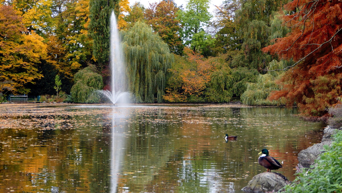 Мир Природы - "The Natural World" Александер Мир Природы - "The Natural World" Александер