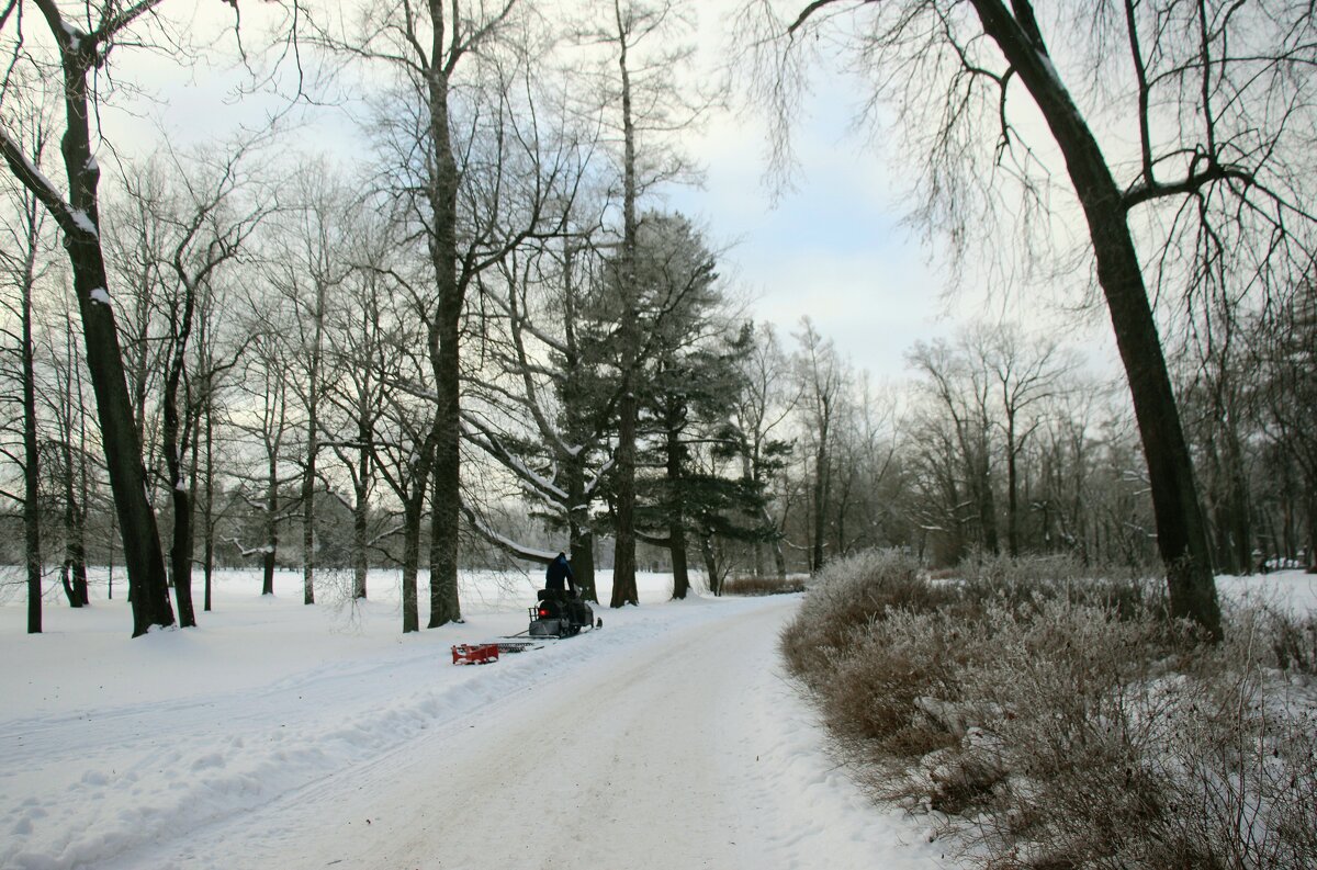 Парк Александрия - Наталья Герасимова Парк Александрия - Наталья Герасимова