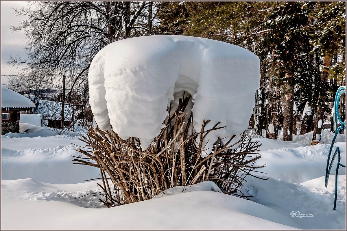 В зимнем парке... - Aquarius - Сергей В зимнем парке... - Aquarius - Сергей