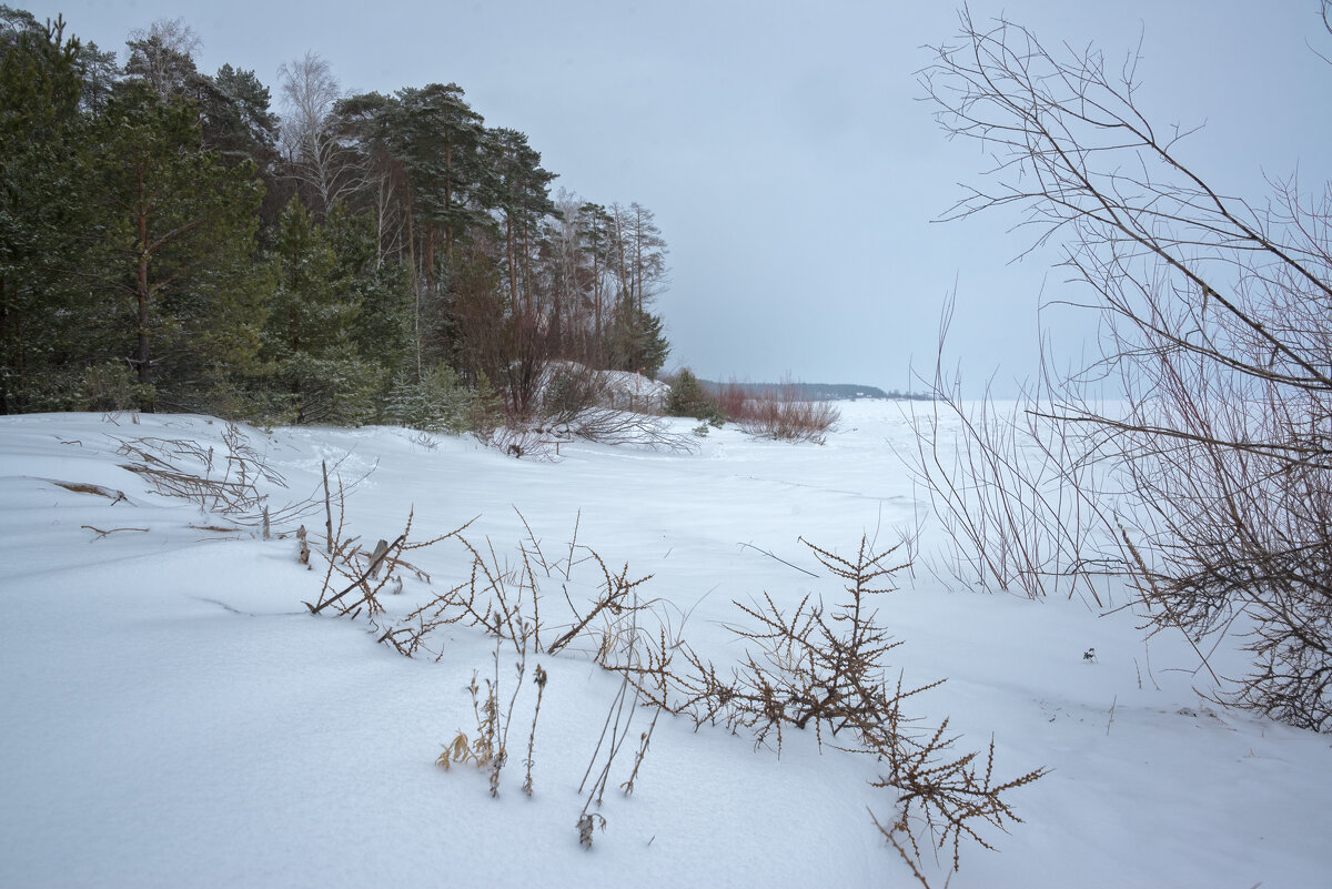 Берег Волги - **** vedin Берег Волги - **** vedin