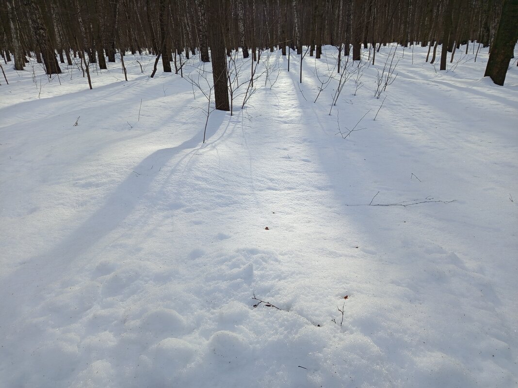 Март как он есть - Андрей Лукьянов Март как он есть - Андрей Лукьянов