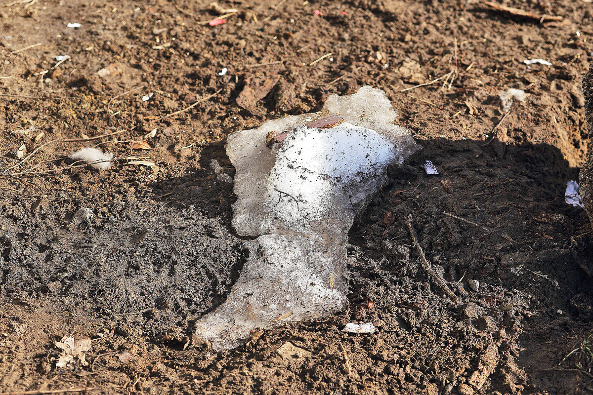 Зима сдаётся - Юрий Гайворонскiий