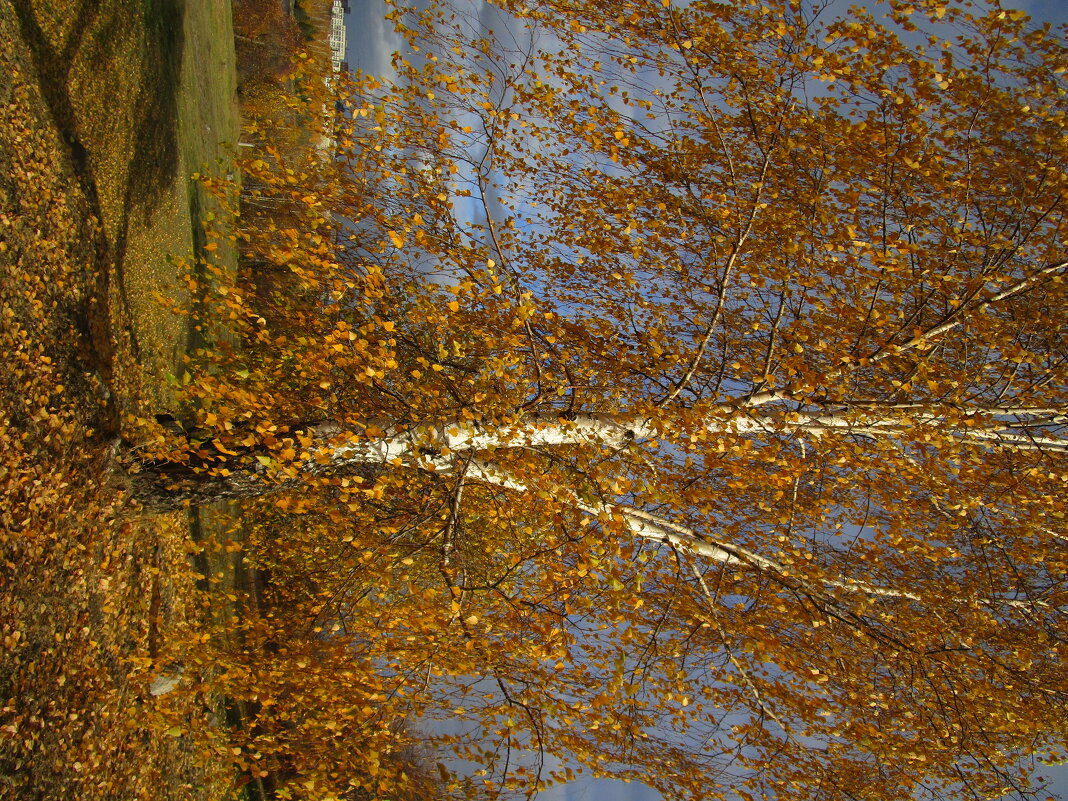 Урал - Елена Шаламова