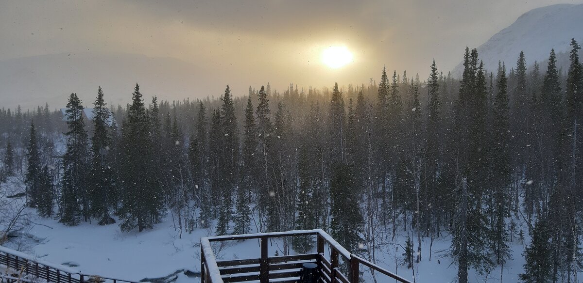 Снег летящий вверх - Ольга Снег летящий вверх - Ольга