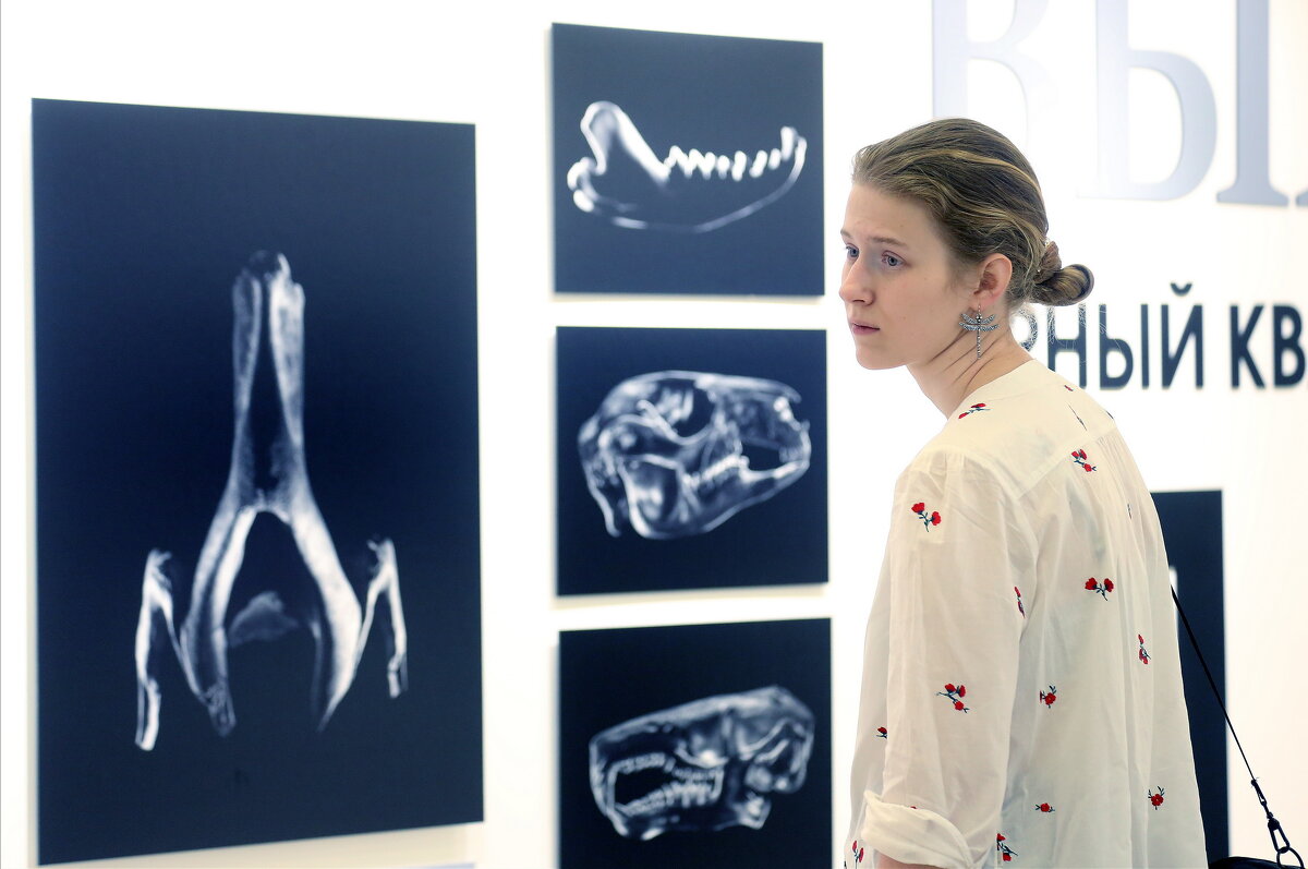 Первозданная Россия в Манеже 3 марта - Михаил Бибичков Первозданная Россия в Манеже 3 марта - Михаил Бибичков